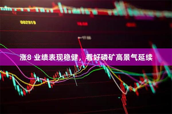 涨8 业绩表现稳健，看好磷矿高景气延续