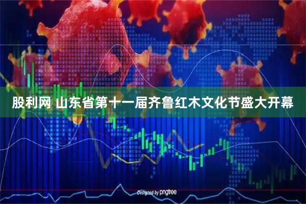 股利网 山东省第十一届齐鲁红木文化节盛大开幕
