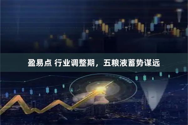 盈易点 行业调整期,五粮液蓄势谋远