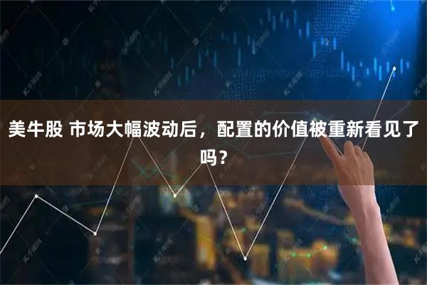 美牛股 市场大幅波动后，配置的价值被重新看见了吗？
