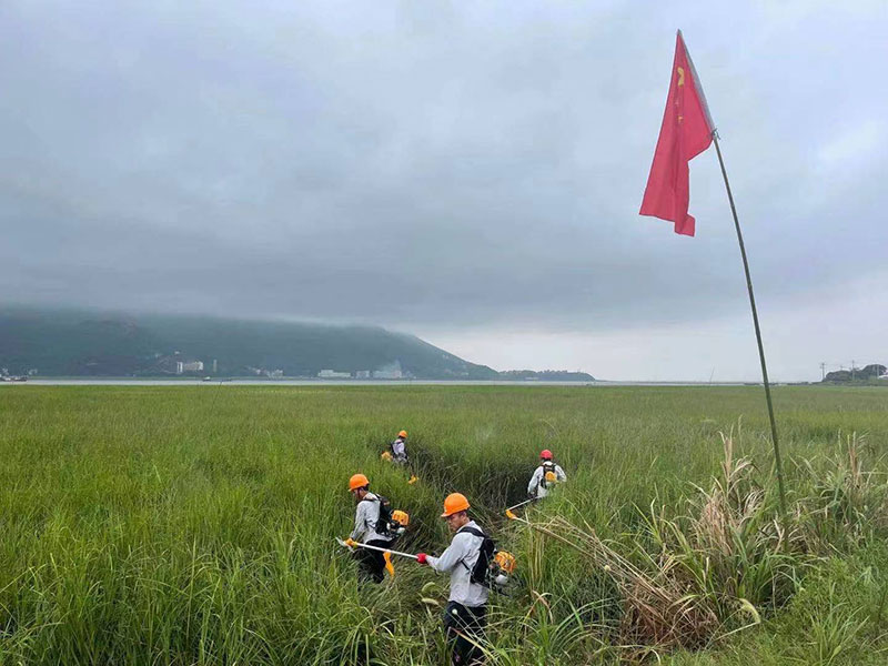 918博天堂(中国区)官方网站