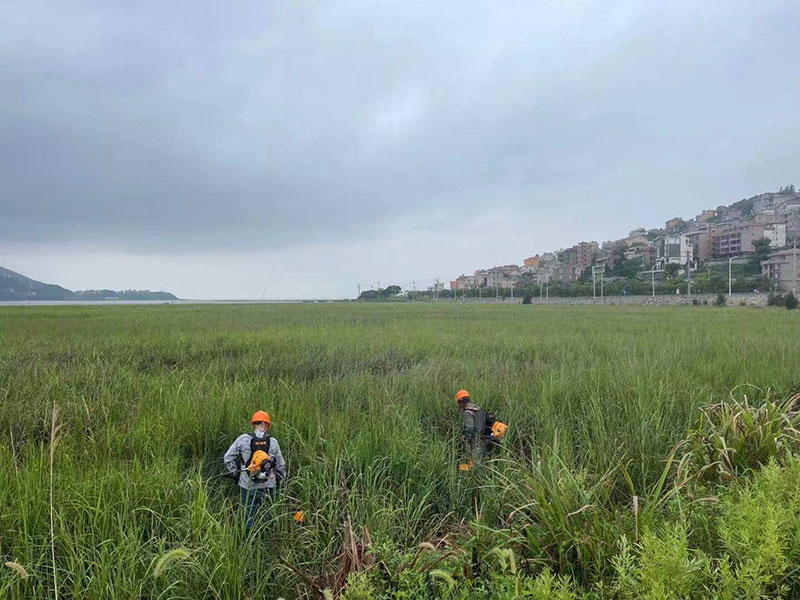 918博天堂(中国区)官方网站